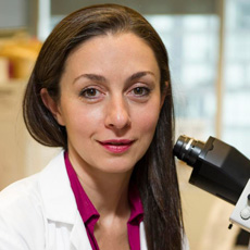 Dr. Gelareh Zadeh: Neuro surgeon in Ontario, Canada