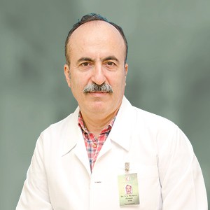 Dr. Seyed Ali Modares Zamani