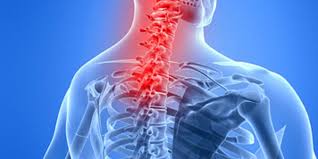 Decompression Spine Anterior Approach Cervical and Arthrodesis 1 Level Anterior Spine