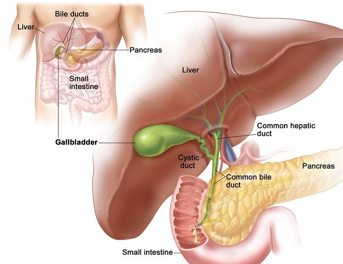 Gallbladder Cancer Treatment, Thailand
