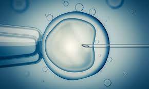 IVF - Conversion from IUI including Fresh Embryo Transfer