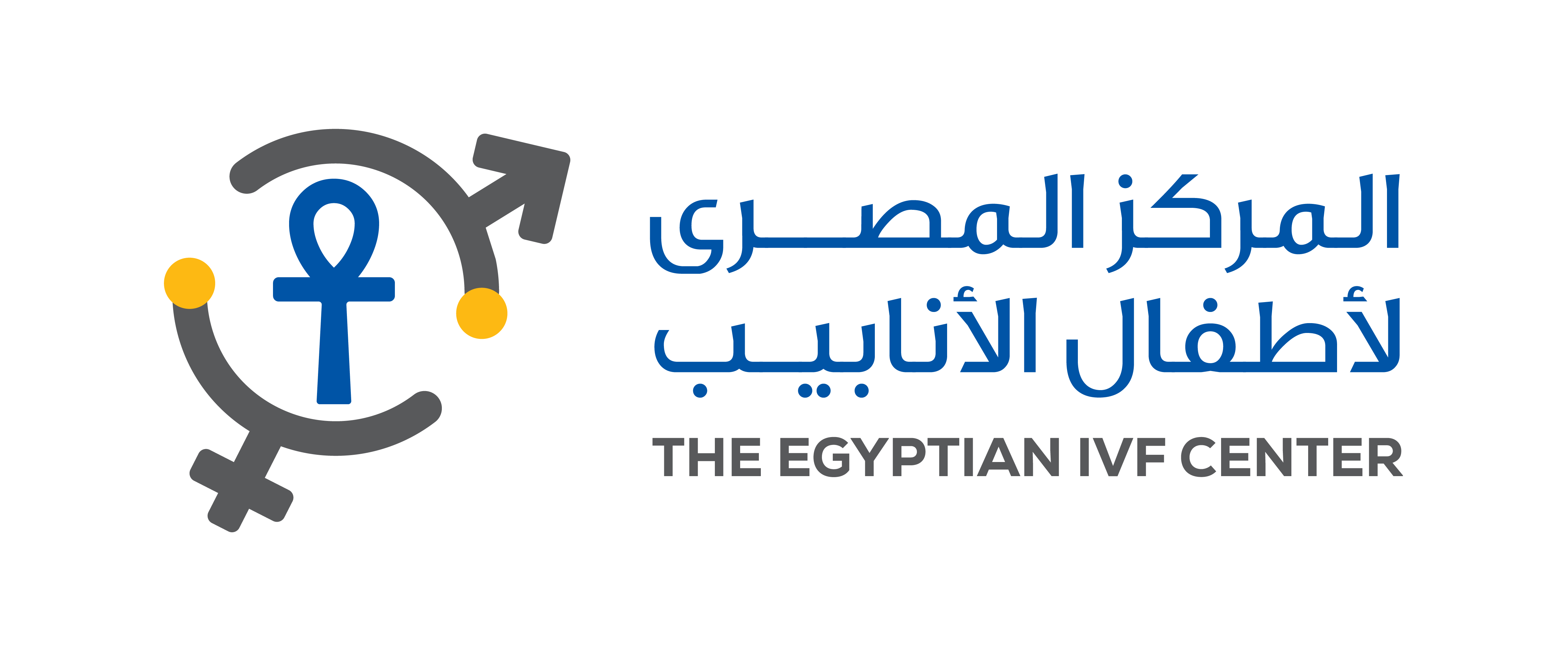Egyptian IVF-ET Center, Cairo Cairo, Egypt