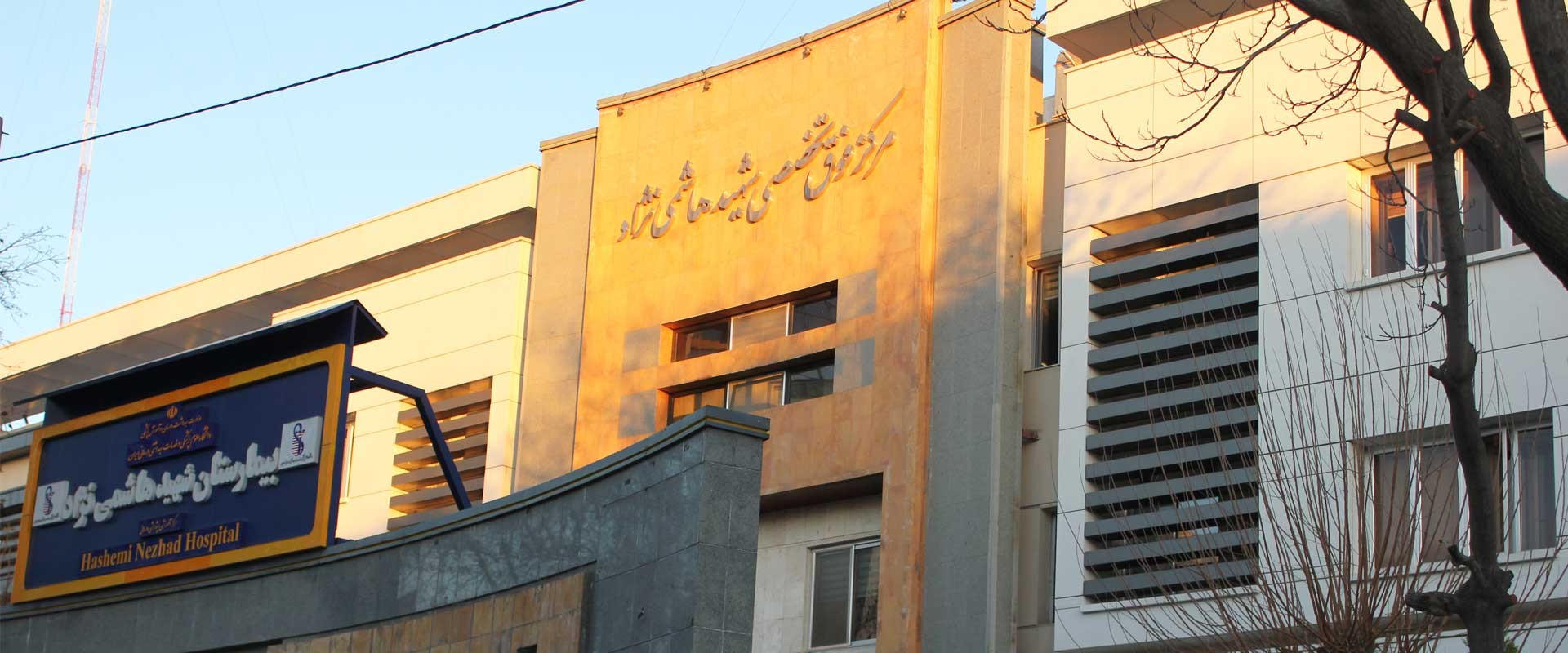 PTMC (Percutaneous Transvenous Mitral Commissurotomy)