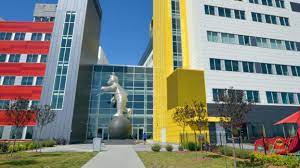 Mitral Valve Replacement