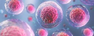 Embryo Freezing Annual