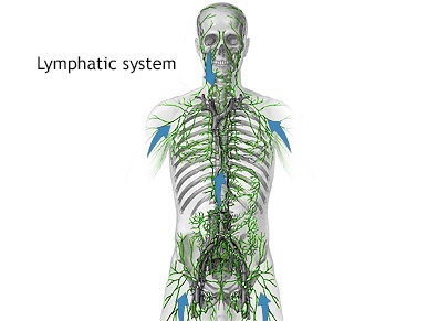 Lymph Node Biopsy Cervical or Axillary or Inguinal Under Ga