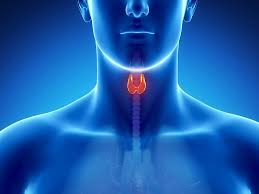 Parathyroidectomy
