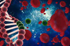 Bone Marrow Transplant Allogenic