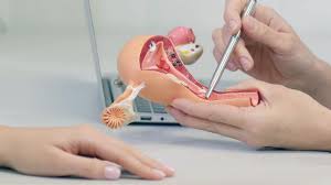 Gynecologic Reconstructive Surgery